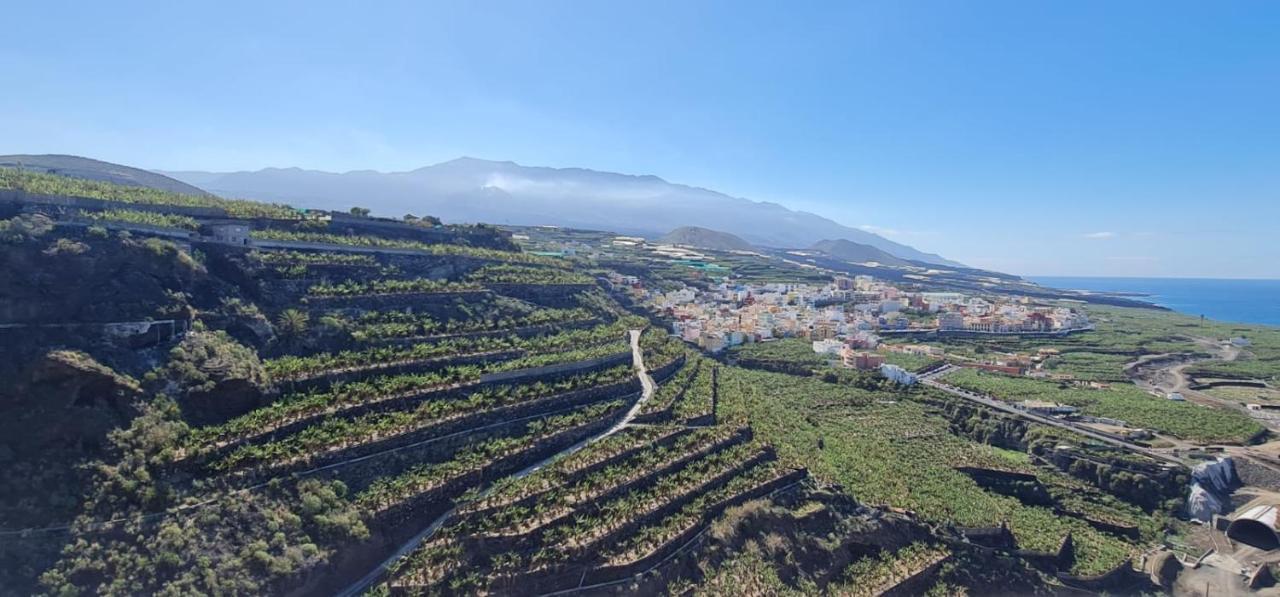Geranios